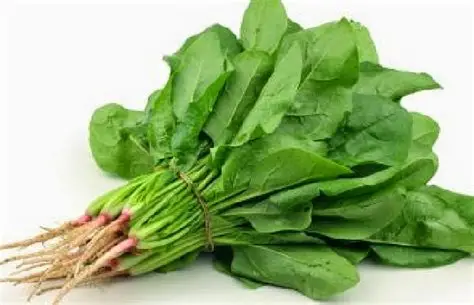 sayur bayam